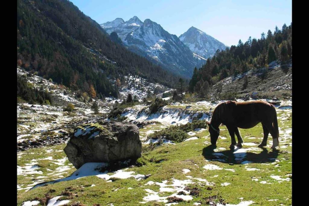 Chaleureux Studio Familal "Lougrand Iii" Cauterets Kültér fotó
